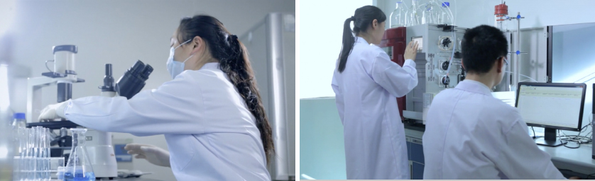 对话田克恭：普莱柯通过组织化创新驱动研发创新