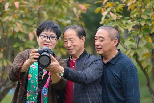 莫道桑榆晚为霞尚满天表达了什么,莫道桑榆晚为霞尚满天语录