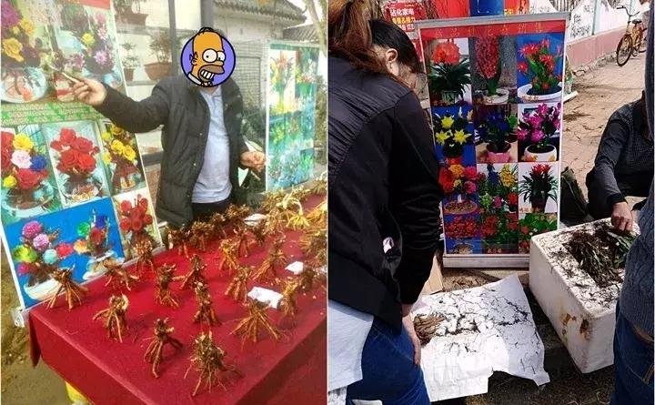 警惕这些诈骗新花招,这几种花有危险