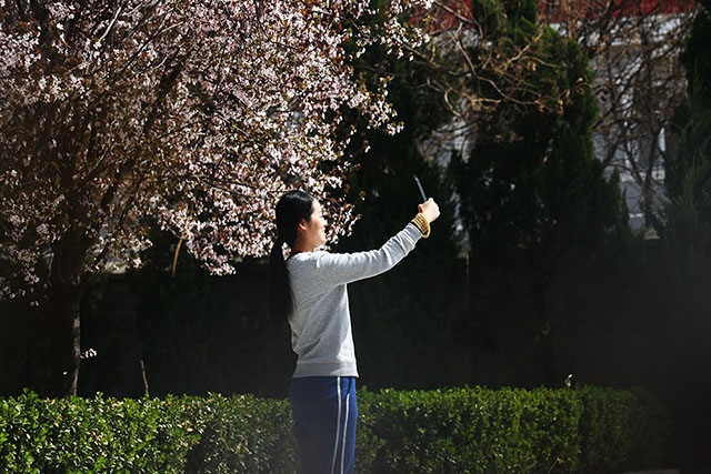 安国医院：寻常好景时时有，人间最美三月天。