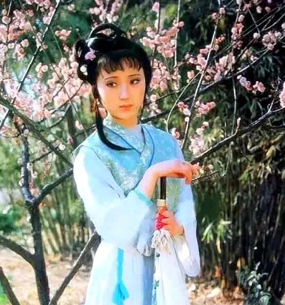 红楼梦葬花吟花谢花飞花满天,葬花吟黛玉葬花红楼梦