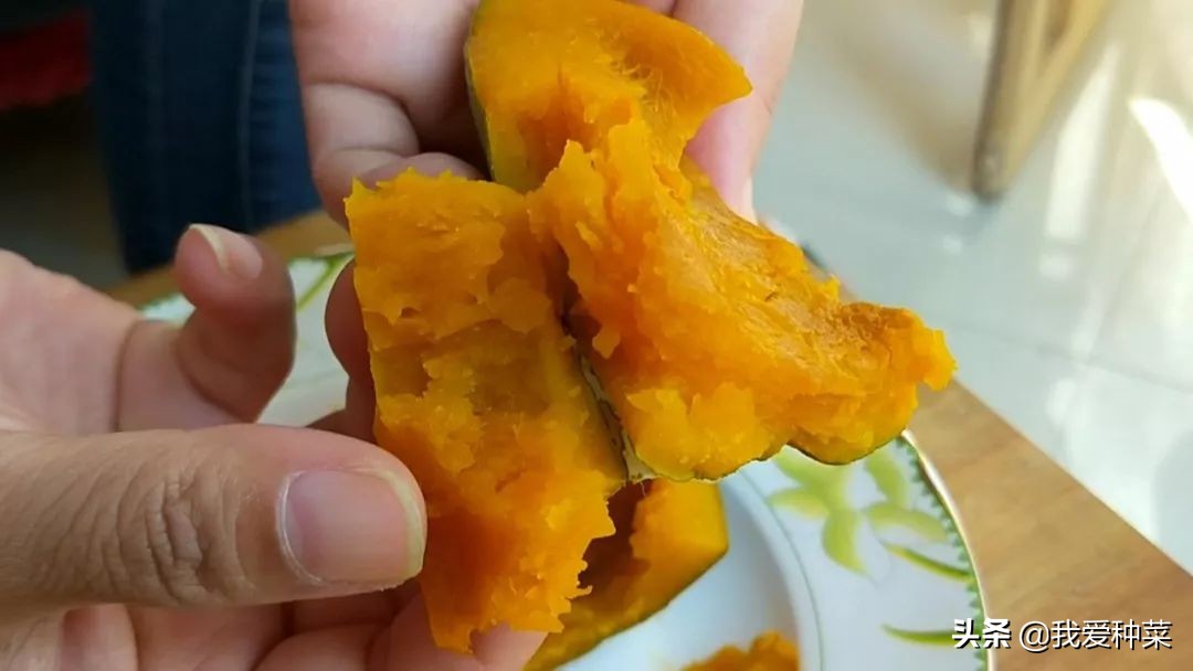 南瓜种植的方法和技术,详细讲解南瓜的种植技术