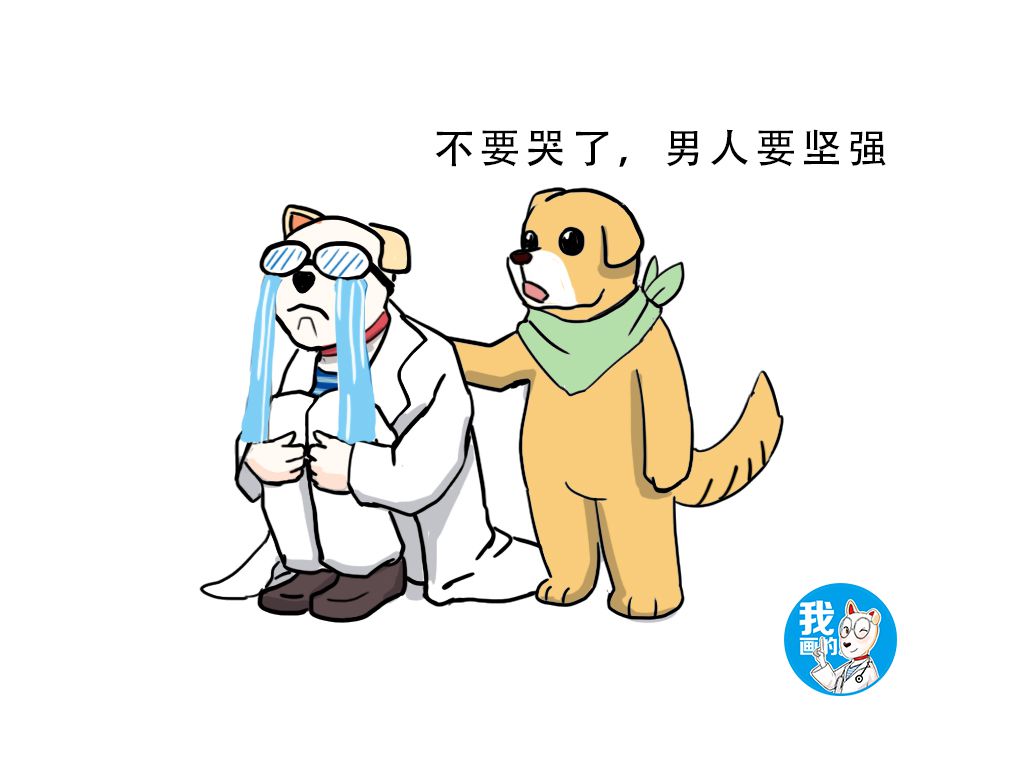 养狗遛狗能降低血压吗,养狗治好低血压