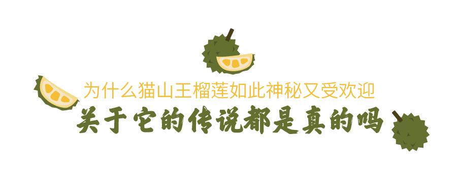 猫山王榴莲上市了吗,猫山王榴莲几月份成熟上市