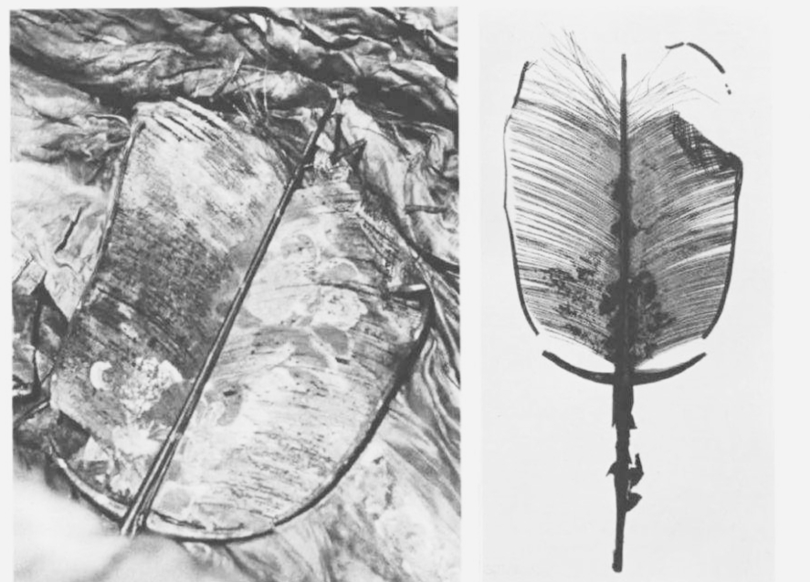 黄榦简介,黄荊简介