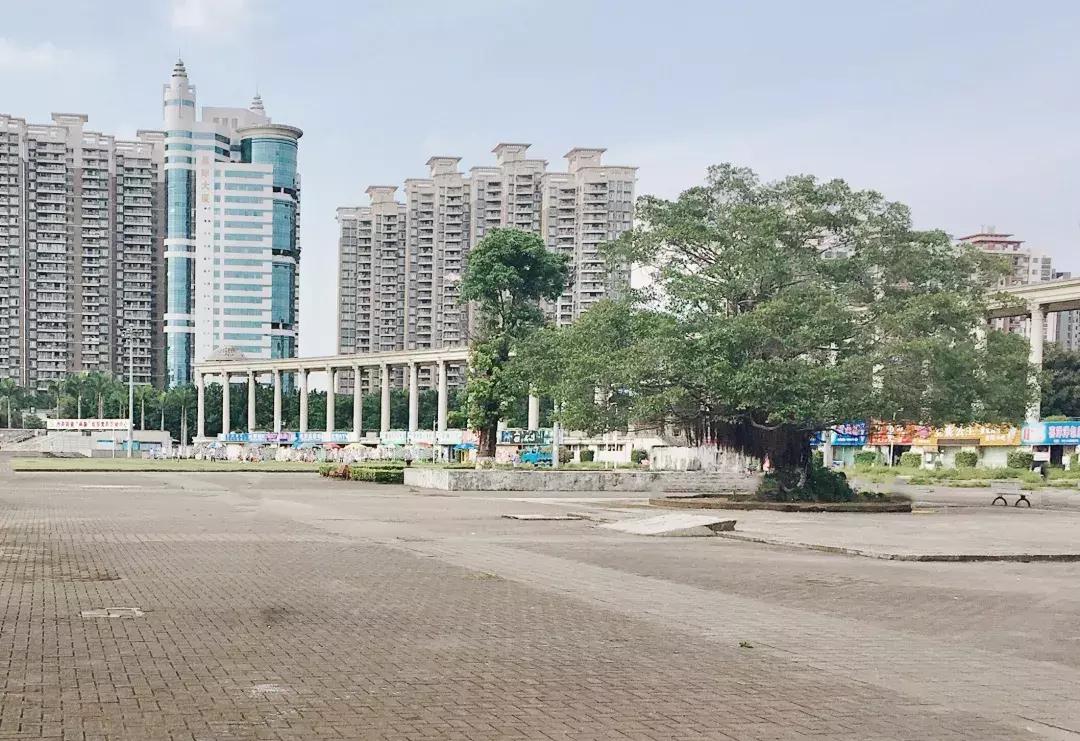 每个地方都有个沙井,好多地方叫沙井