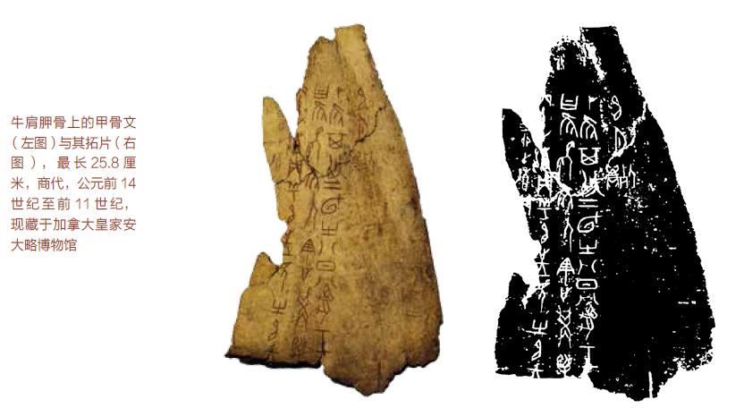 甲骨文趣味涂鸦识字,甲骨文趣味研究