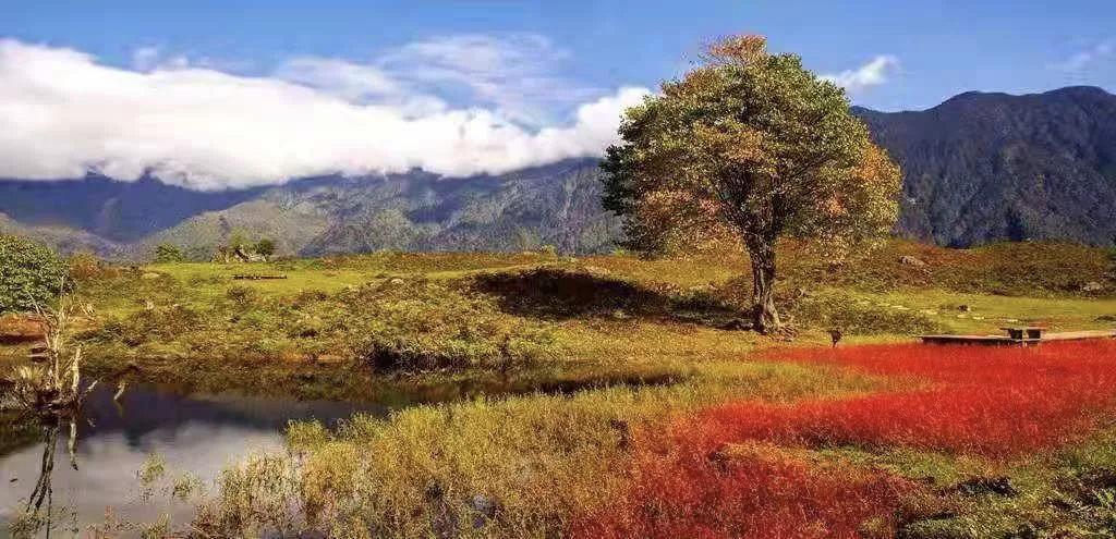 红了！黑竹沟迎来颜值巅峰，分分钟带你穿越五彩童话世界