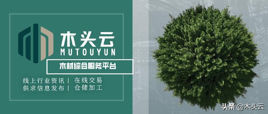 涂料基本知识100例,油漆小常识