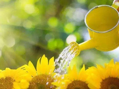 治疗白癜风，告诉你几个节省费用的小技巧