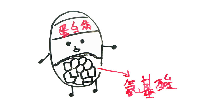 如果基因被破解会有什么后果,人类基因被破解的危害