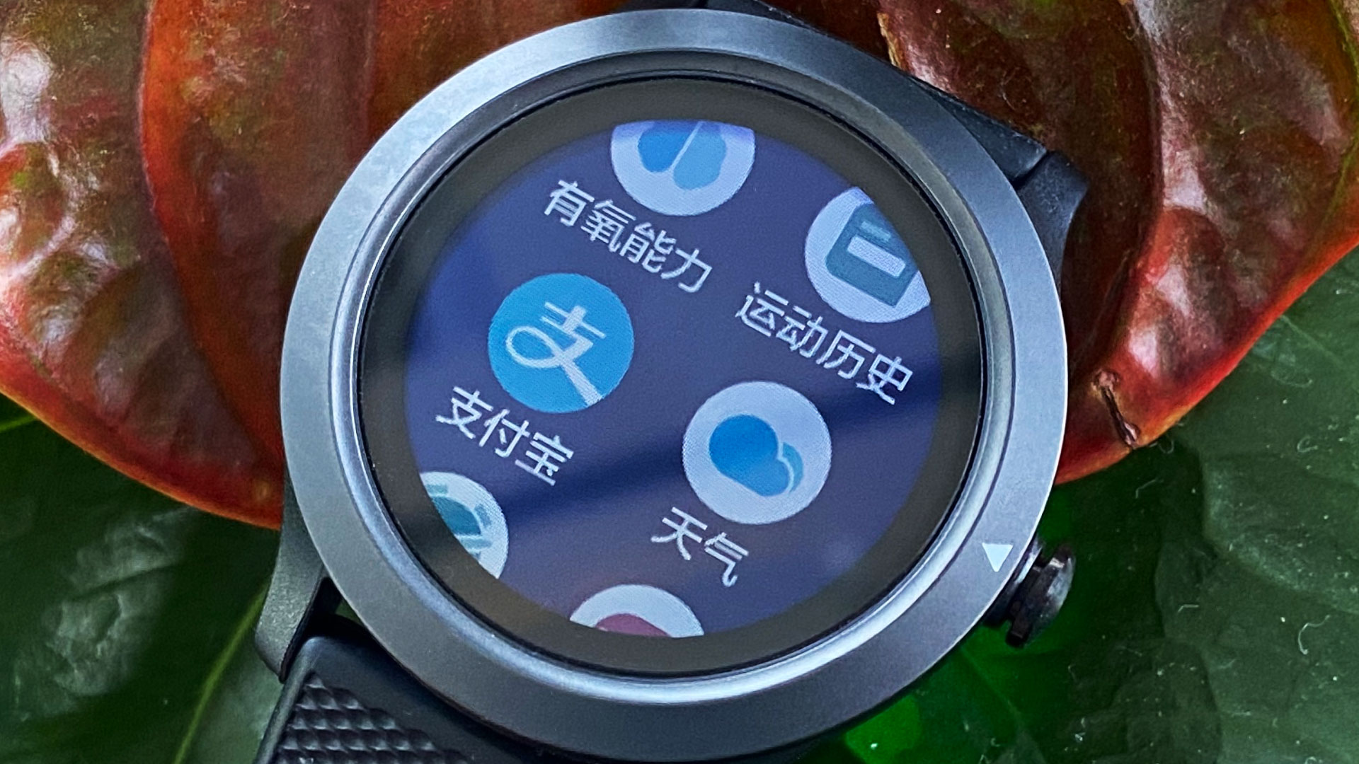 乐普心电手表使用体验,心电监测的智能手表