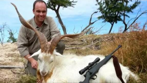 澳大利亚野山羊为什么不出口,澳大利亚野山羊不能吃吗