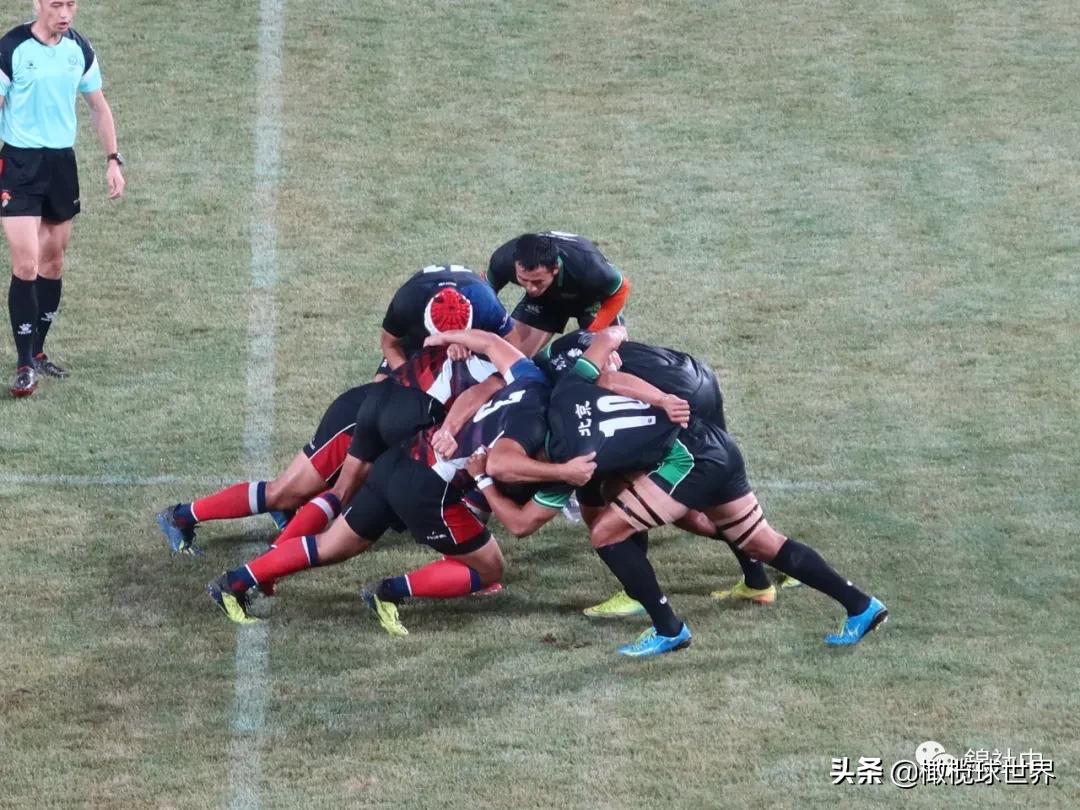 我与全运会的故事,我和校运会的故事作文