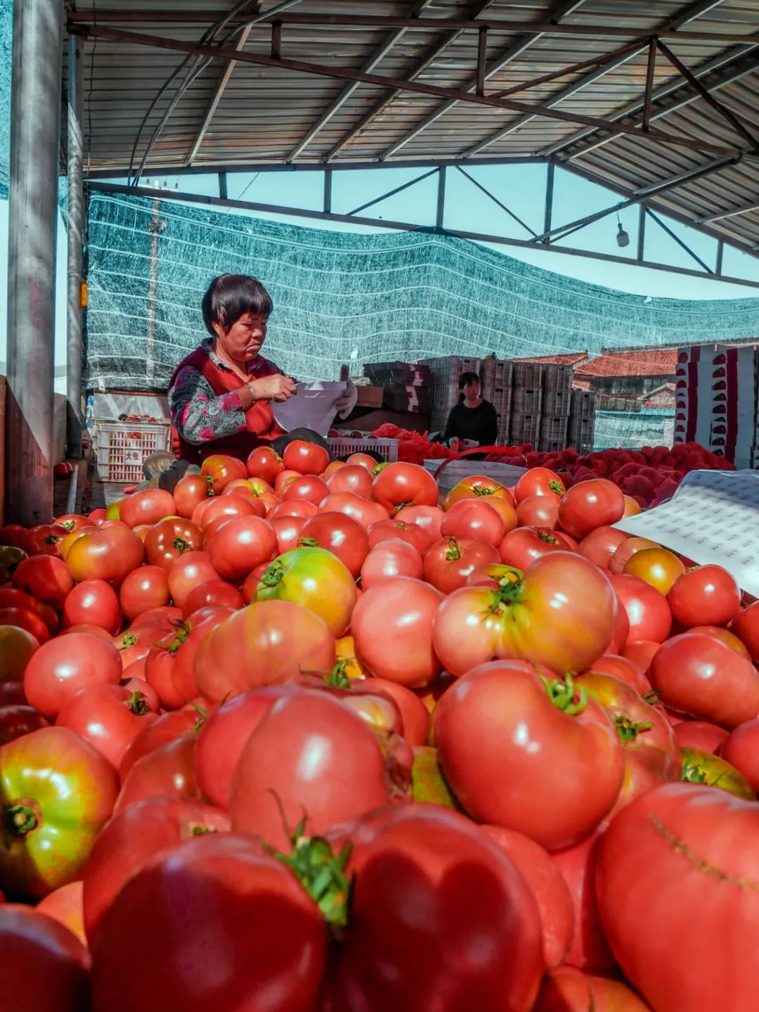 美丽的山西田园风光,山西旅游景点大全自然风光