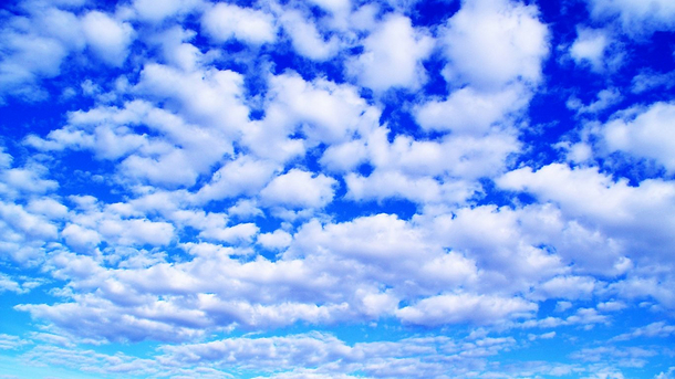 100个出自诗经楚辞女孩名词语,诗经楚辞中的绝美女孩子名字