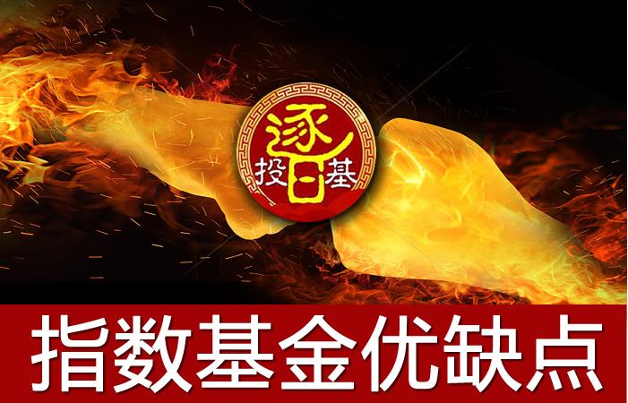被动指数基金排行前十名,选择策略型指数基金