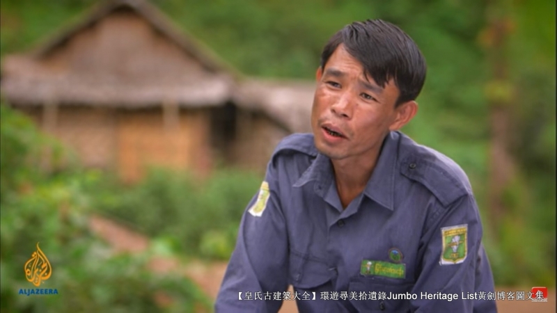 第1844回:皆伐破坏栖息生态,间伐劳工大象伐木