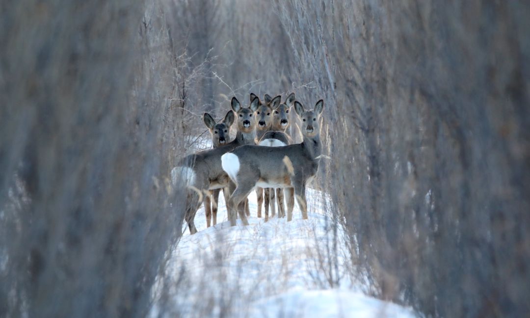 香港第14届全国摄影艺术展,第29届全国摄影艺术展览获奖名单
