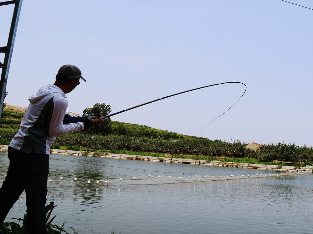 适合新手入门不挂底钓法,鱼口好的野钓钓点