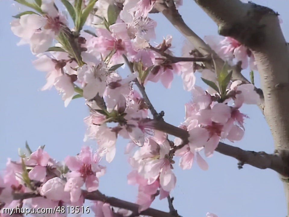 三国演义第三集完整解说,三国演义三足鼎立的最后结局