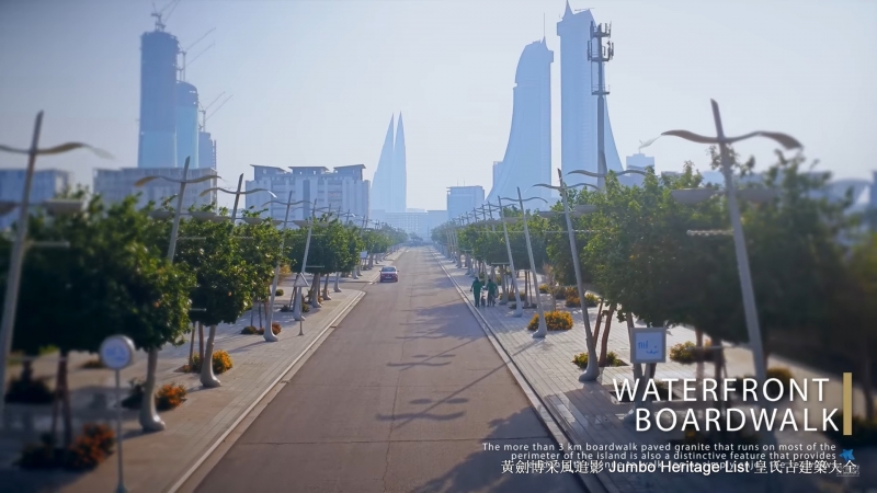 第4590回：沙尘暴故里巴林岛，儒艮聚集鸬鹚繁殖