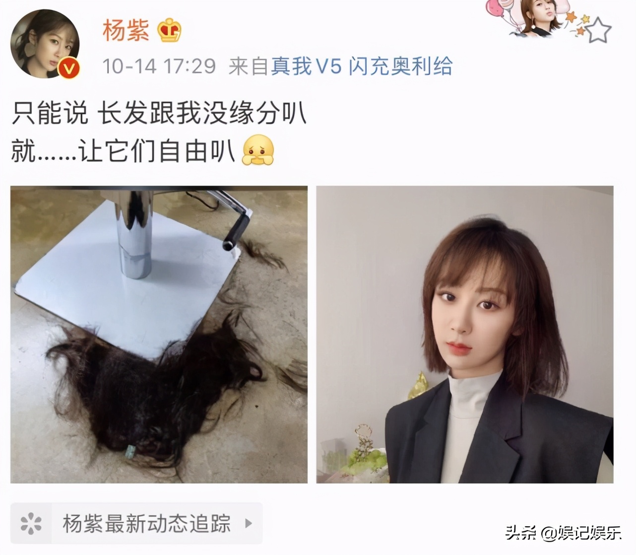 杨紫剪短发的照片,杨紫为什么要剪短发