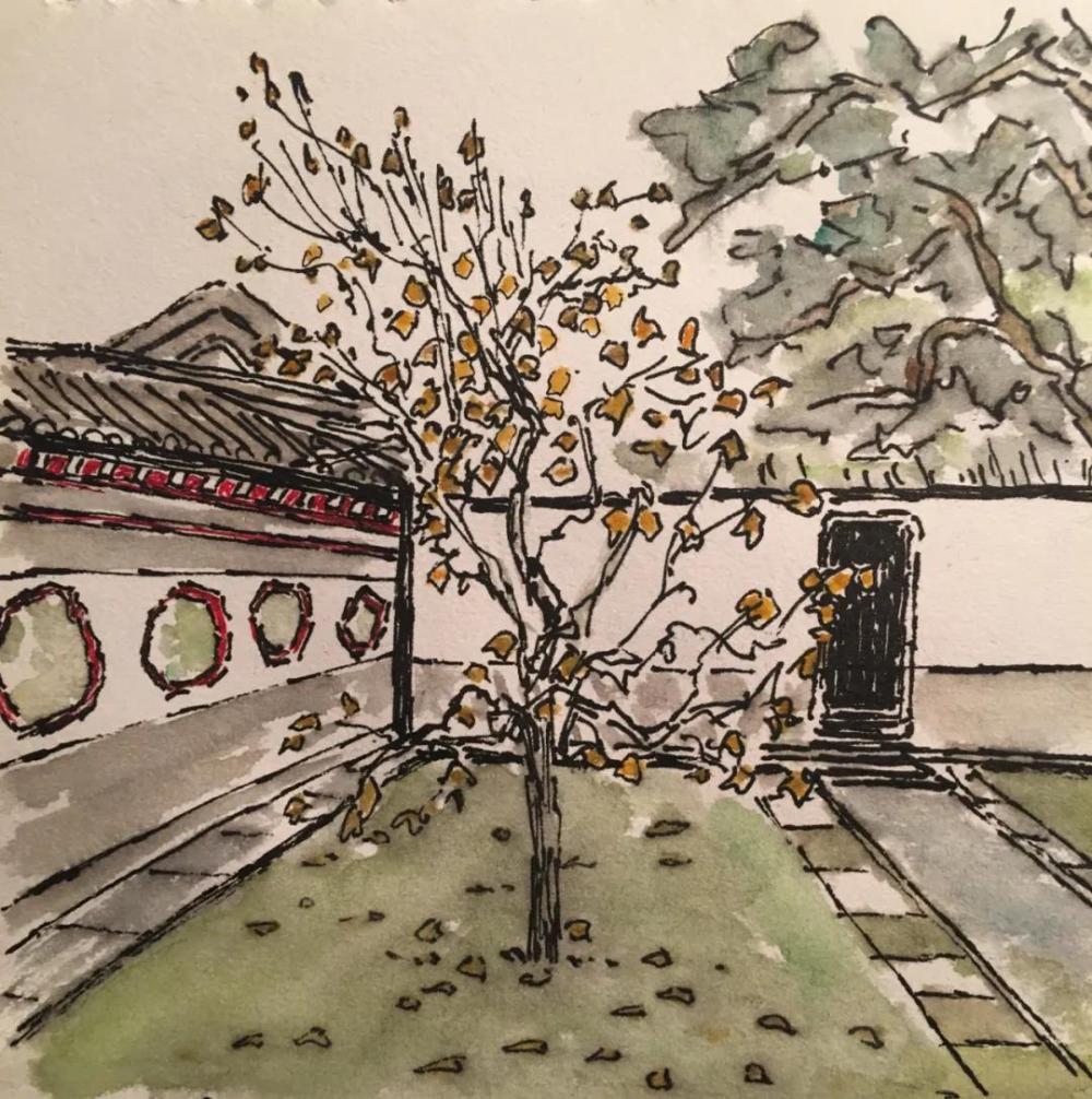 天坛经典音乐,天坛冬日清晨