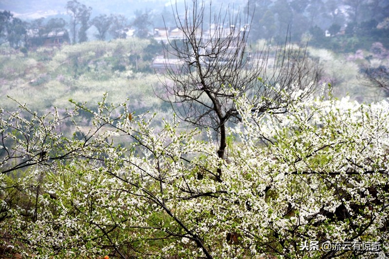 孙中山先生为其《传》亲笔题写序文的他，原来长眠于此