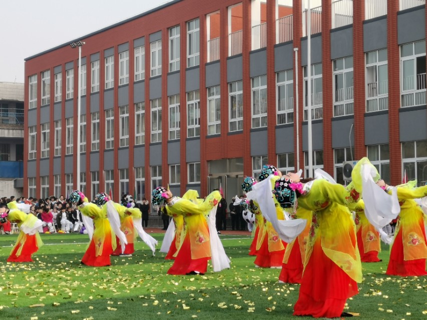 校园足球杯圆满落幕,华奥杯校园足球联赛