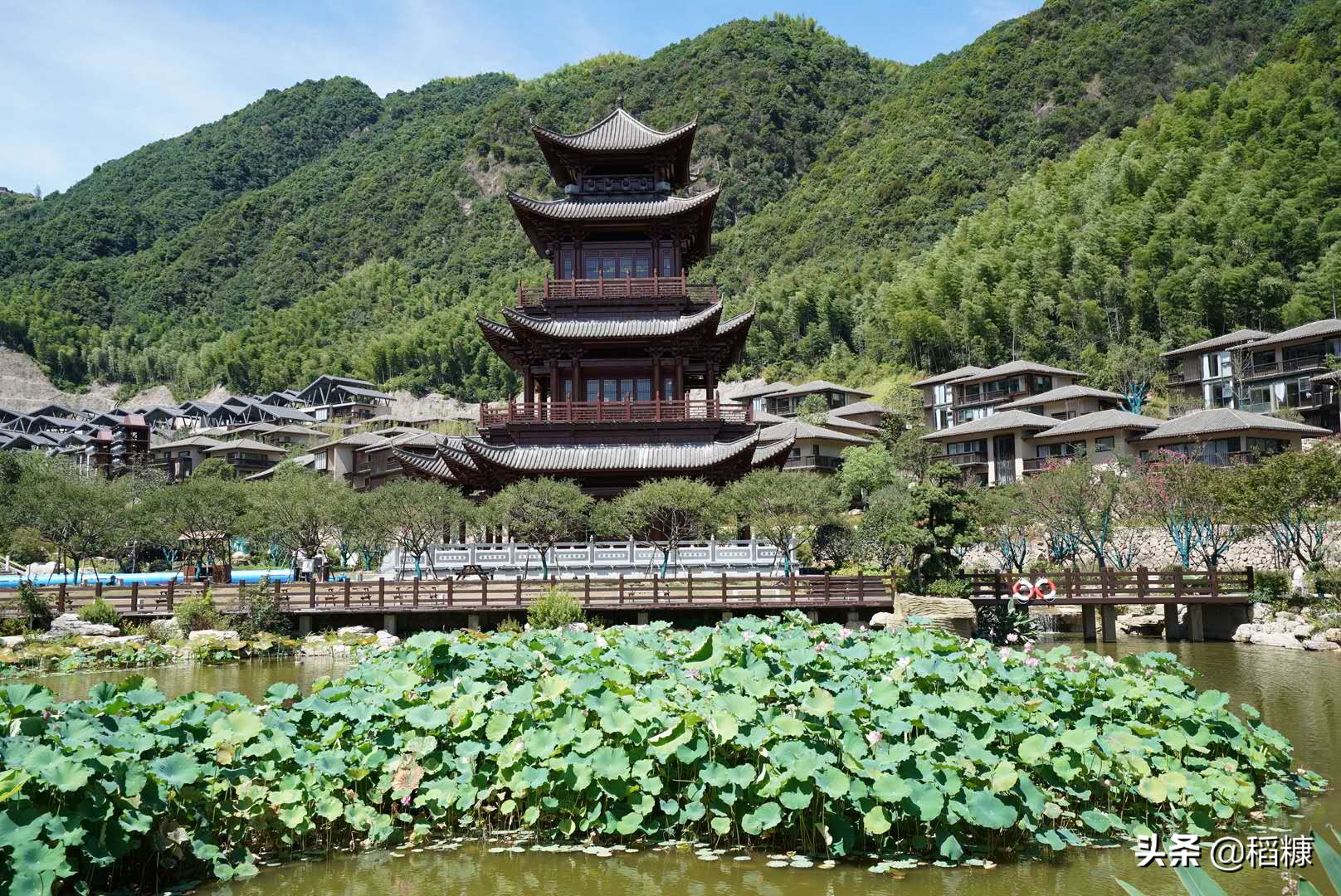 丢掉了武夷山光环的江西铅山,用葛仙村赢得璀璨