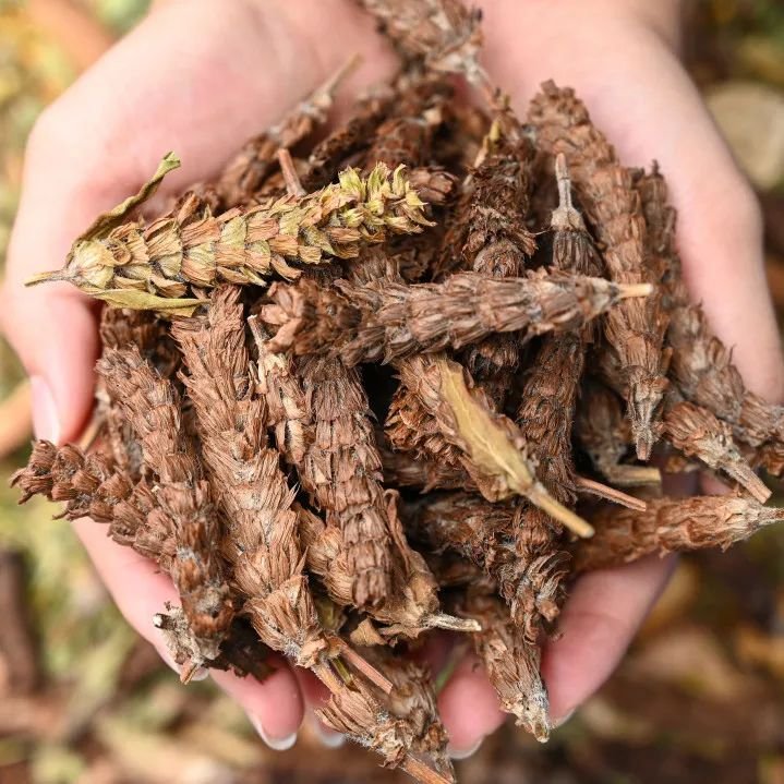 纯手工制作美食甜品,网红甜品推荐前十名制作方法