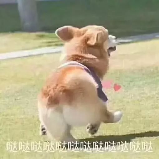 本科论文题目太难实在写不出论文,毕业论文常见问题大全