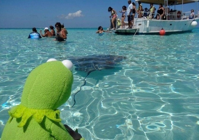 一起来和Kermit潮蛙学习游客照的正确拍摄方式！