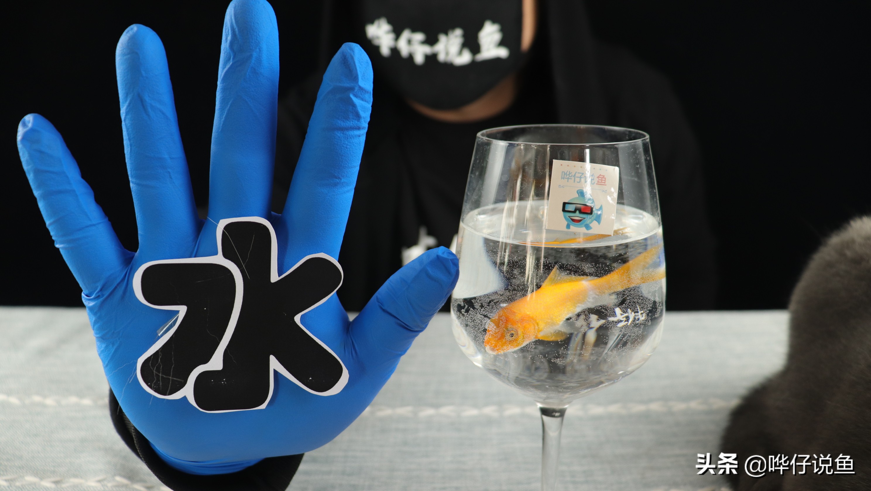 水族店养鱼知识大全,养鱼的十大潜规则