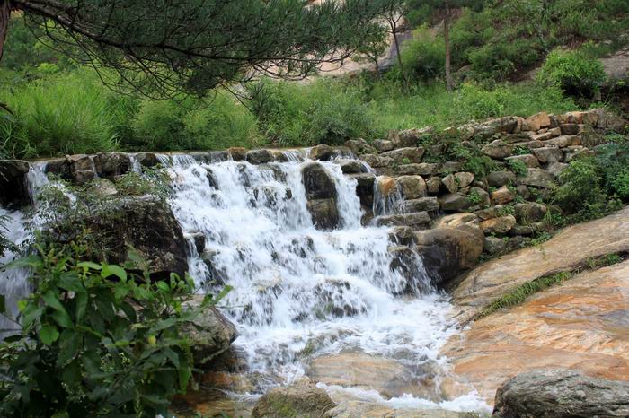 四特酒二十年珍藏限量版,四特酒52度是纯粮酒吗