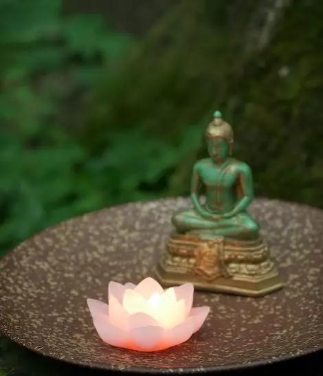 心静自然通事理,心静的生活哲理