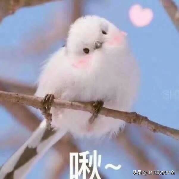 返工旅途注意事项,返工注意事项通知