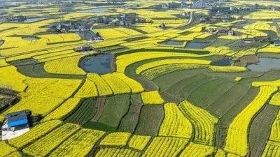 农庄经营模式一年能赚100万,农庄里什么项目最赚钱呢