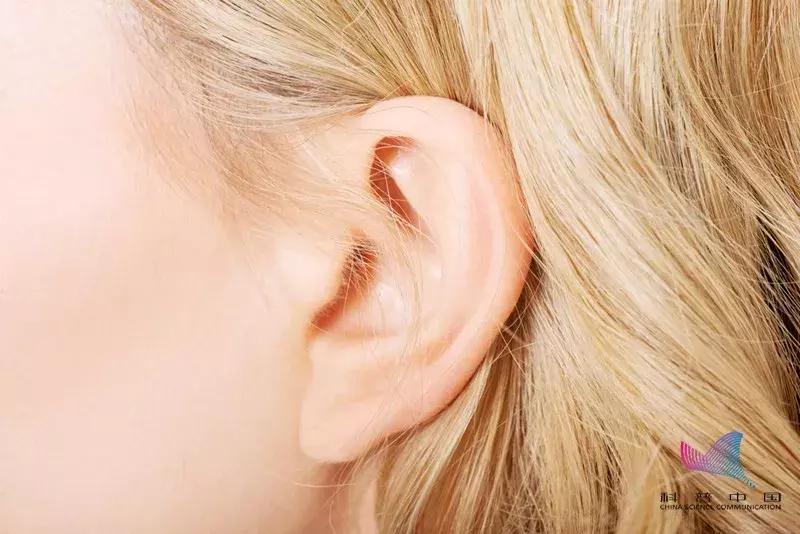 掏耳朵的正常掏法,怎么正确掏耳朵还掏得干净