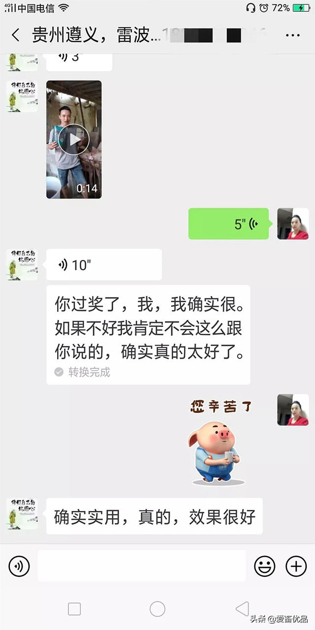 仔猪传染性腹泻怎么治效果好,仔猪传染性肠胃炎该怎么治