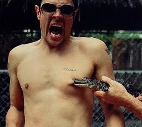 香港鳄鱼衫,穿鳄鱼衣服冒充鳄鱼