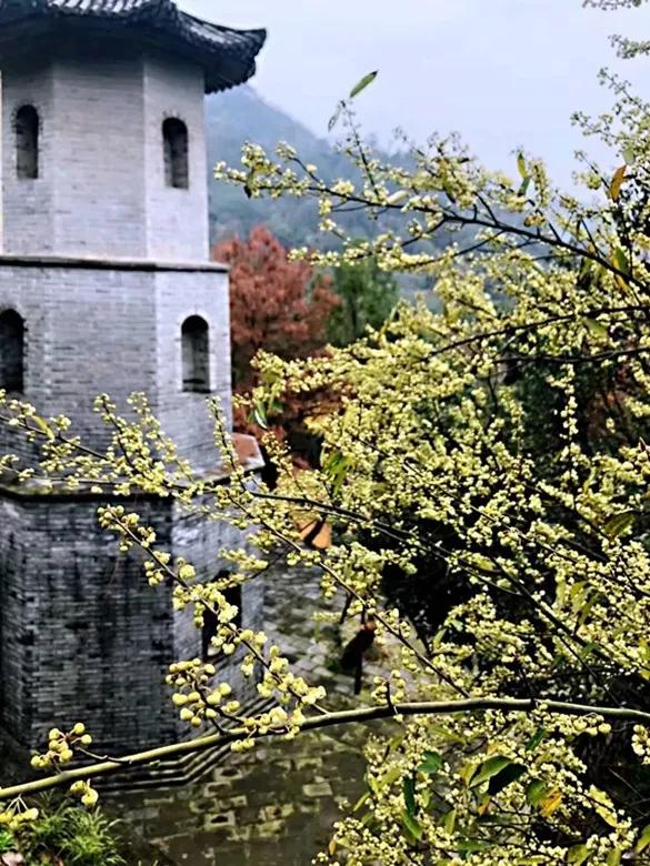 玻璃大王曹德旺37年捐了160亿,曹德旺被追债