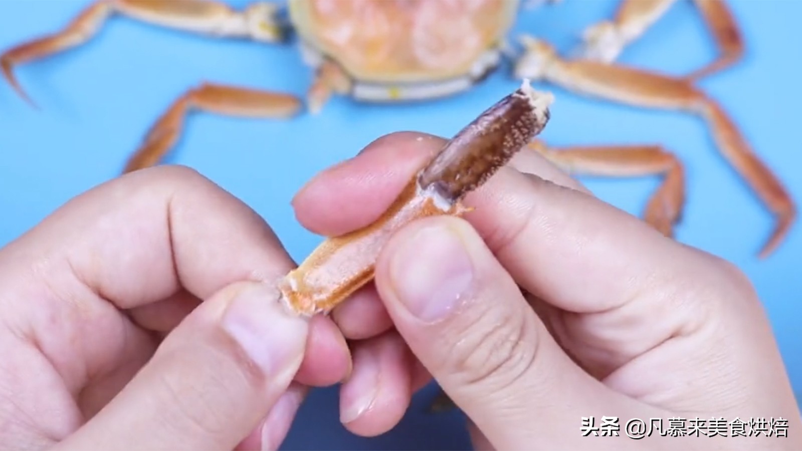 螃蟹正确吃法教学视频,误吃了螃蟹不该吃的部位怎么办