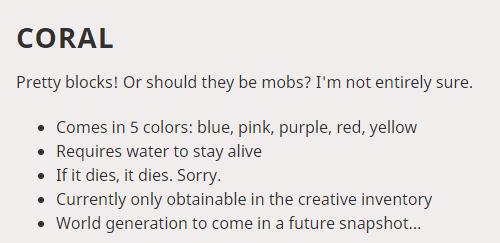 我的世界海豚带你去寻找宝藏,在我的世界发现海龟岛的秘密