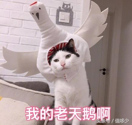 收到一封代购骂我的信，其中真相让人心酸又唏嘘……