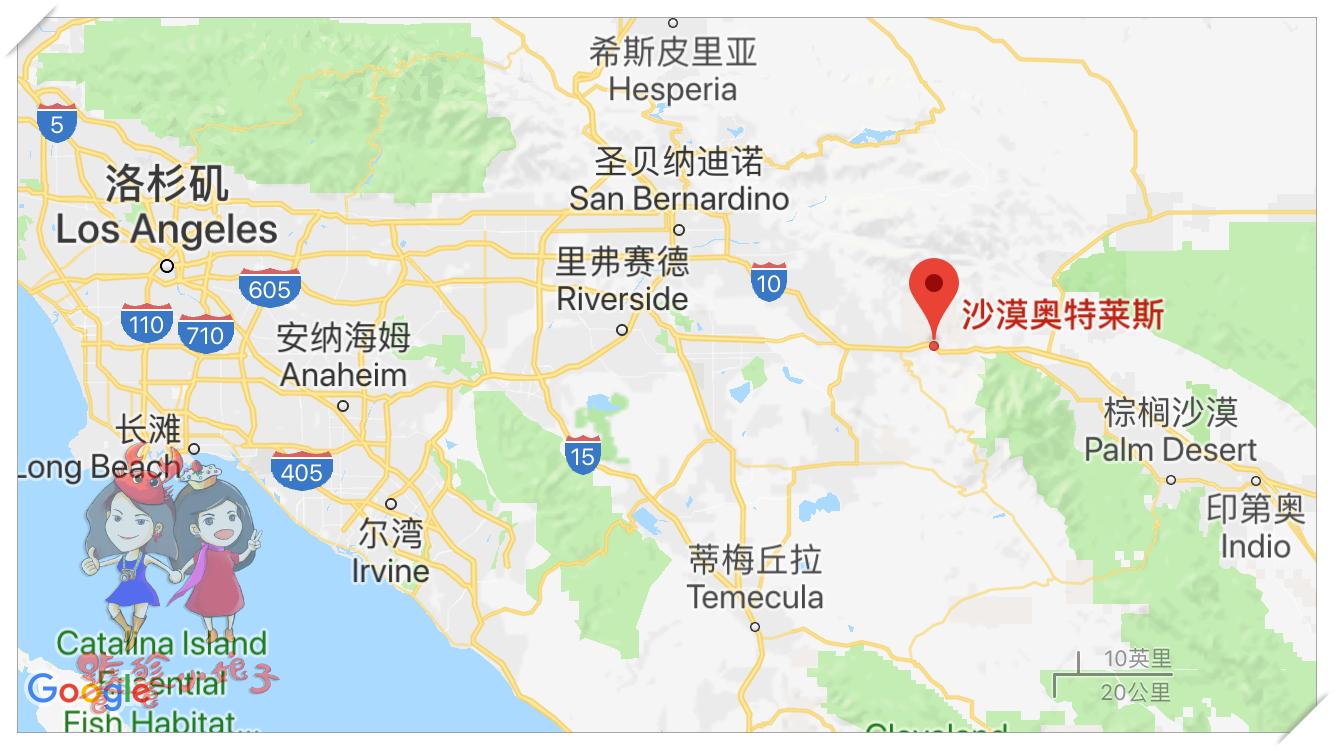 到美国买鞋是不是更划算,到美国买什么东西划算