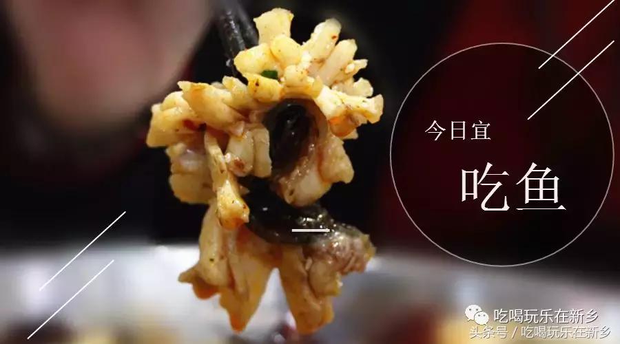 2058花乌鱼？新乡人再不补充胶原蛋白就要加入脱发大军啦！