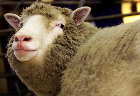 也许你万万没想到，你拒绝转基因食物，却大量使用转基因药物