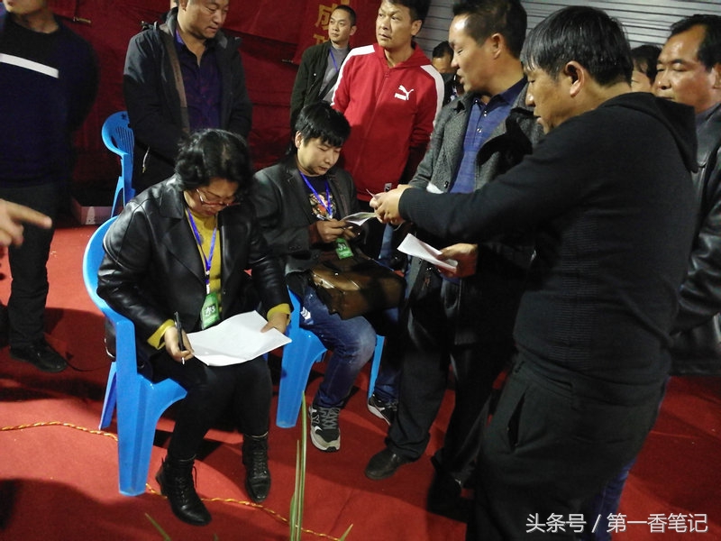 2020年云南兰花展获奖图片,2018年昆明兰花展精品图片